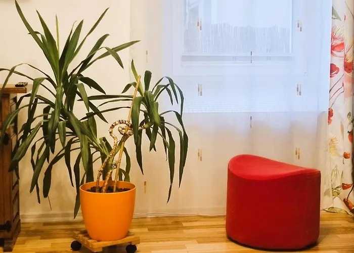 Lejlighed Schoener Wohlfuehlen In 2 Zentral Bis Zu 4 Personen *